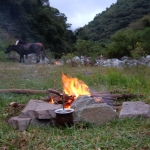 MacDermott's Argentina image DSCF2320