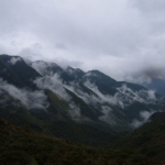 MacDermott's Argentina image DSCF2325