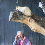 MacDermott's Argentina image IMG_1311