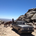 MacDermott's Argentina image IMG_4442