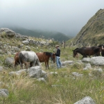 MacDermott's Argentina image P1030203