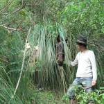 MacDermott's Argentina image P1040755