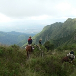 MacDermott's Argentina image P1040862