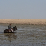 MacDermott's Argentina image P1050463