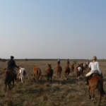 MacDermott's Argentina image P1050538