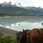 MacDermott's Argentina image P1130268