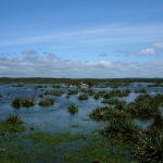 MacDermott's Argentina image Photo 1