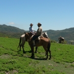 Honeymoon in the hills