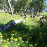 macdermotts argentina2