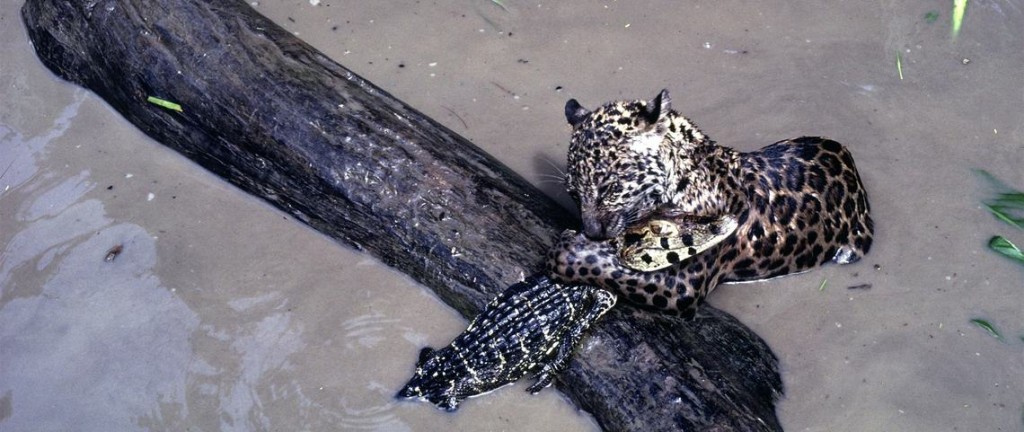 Holiday in Argentina