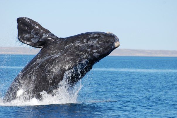 vacation in argentina