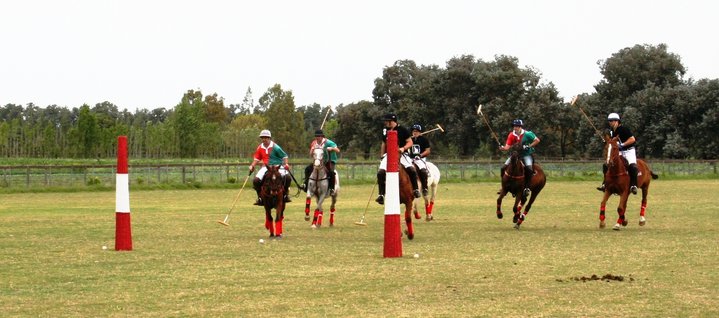 Chukkas in Pilar Chukkas in Pilar