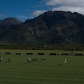 Polo in Patagonia