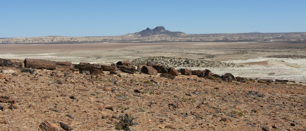 The Patagonian Desert