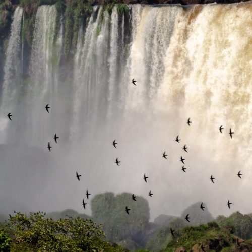 destinations-main-page-iguazu-AdobeStock_289687592-2-scaled-e1706541605101.jpeg